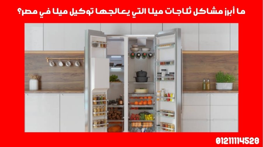 ما أبرز مشاكل ثلاجات ميلا التي يعالجها توكيل ميلا في مصر؟